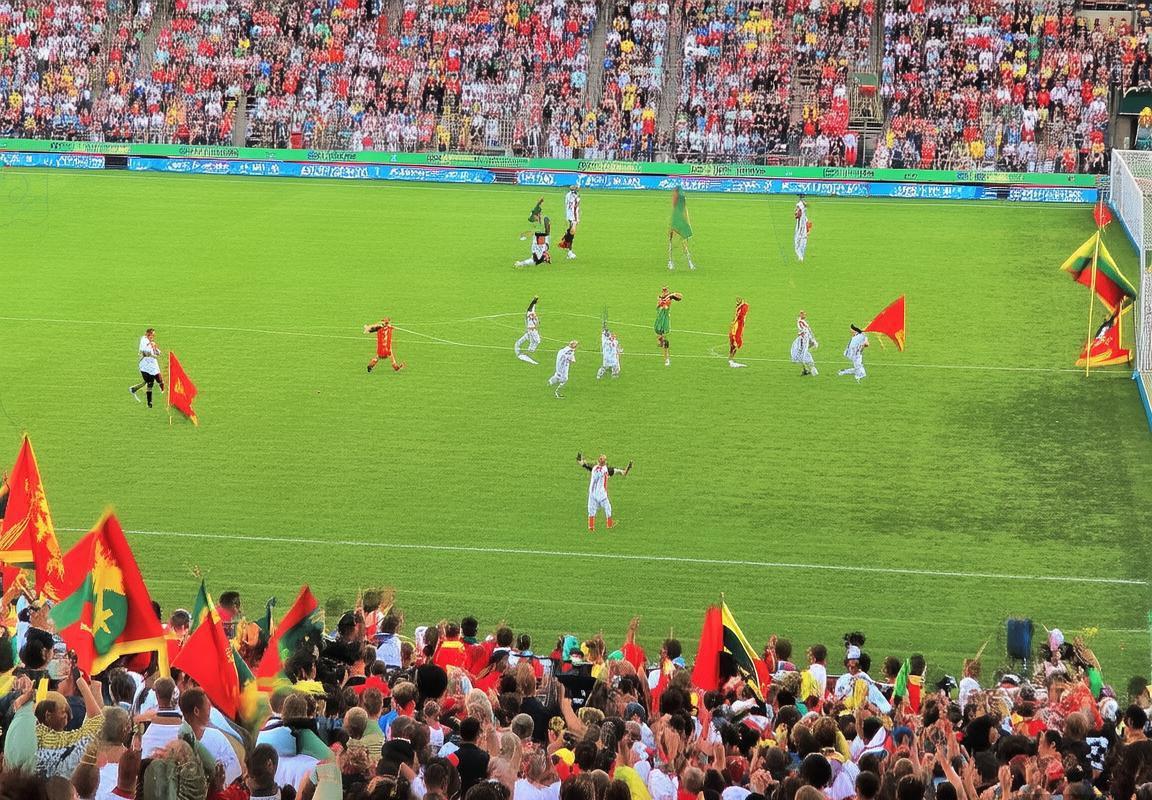 2019保加利亚vs黑山足球对决：经典瞬间回顾(图1)